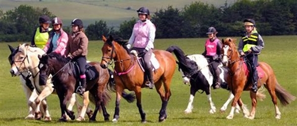 Horse Access Campaign UK 